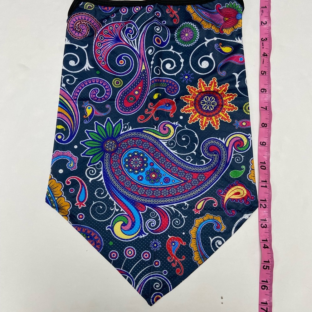 Colorful Paisley Mask - Picture 3 of 11